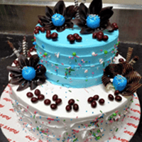 Chocolate Blueberry Cake